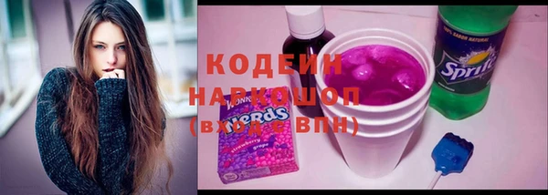 индика Богданович